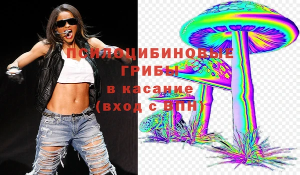 молекула духа Медногорск