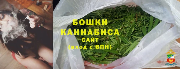 молекула духа Медногорск