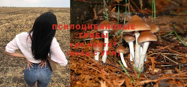 меф Гусь-Хрустальный
