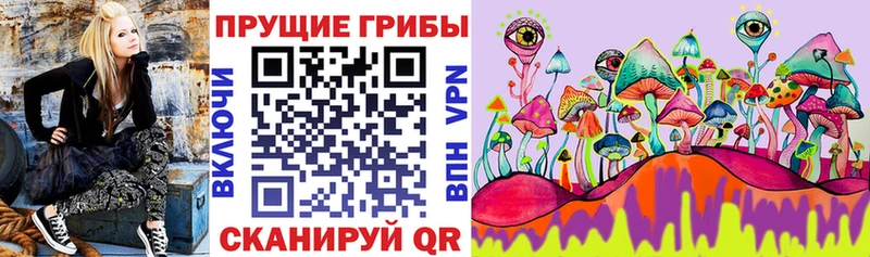 Галлюциногенные грибы мицелий  дарнет шоп  Весьегонск 